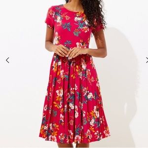 NWT Loft Pleaded Floral Dress Sz 2 Petite 💕